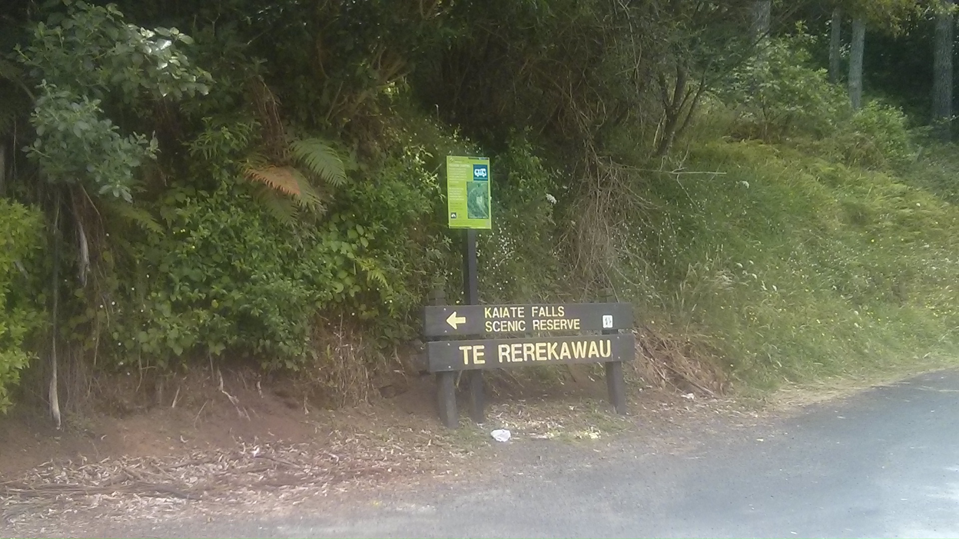 IMG_20150115_124846.jpg image