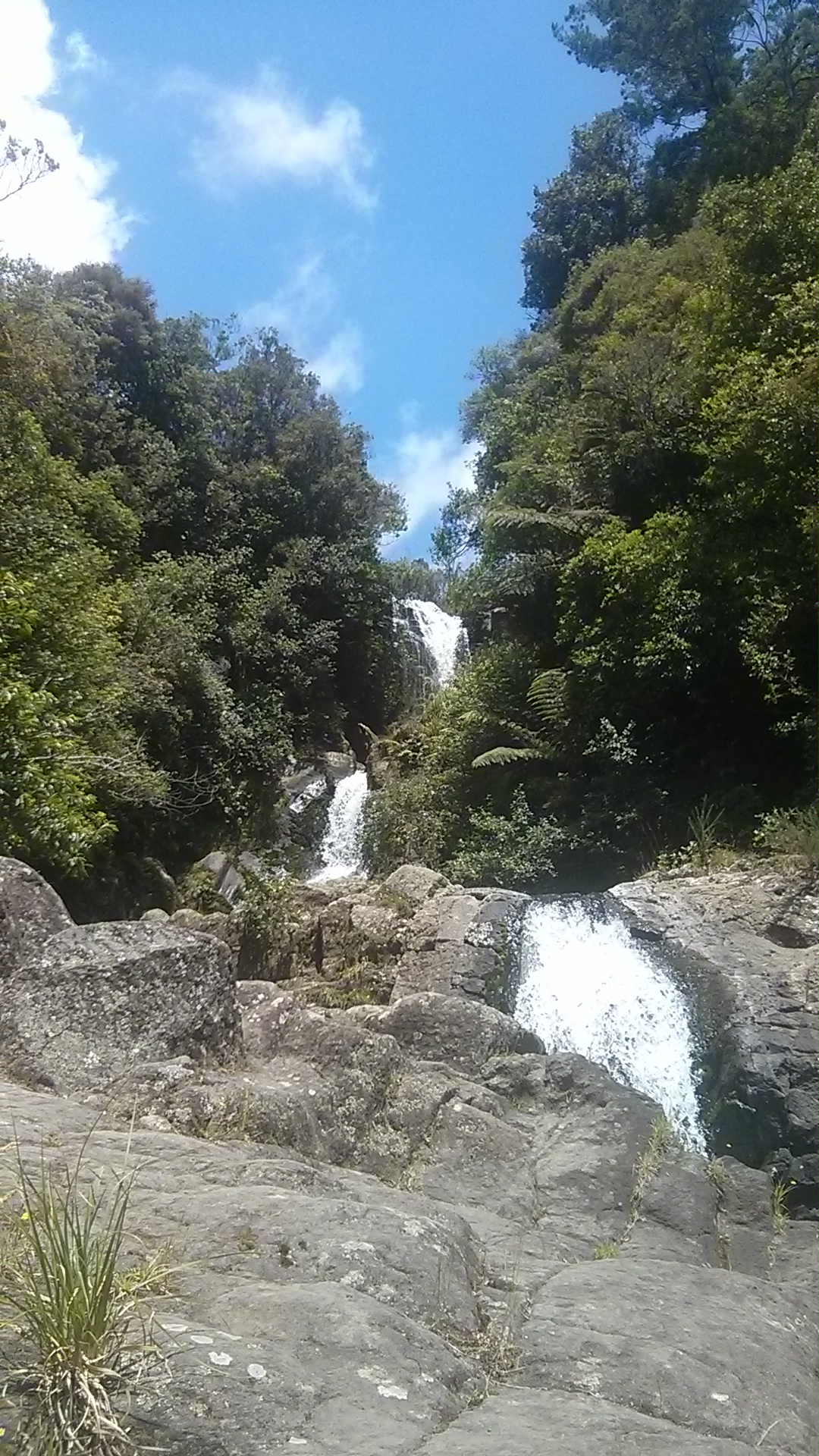 IMG_20150115_130445.jpg image