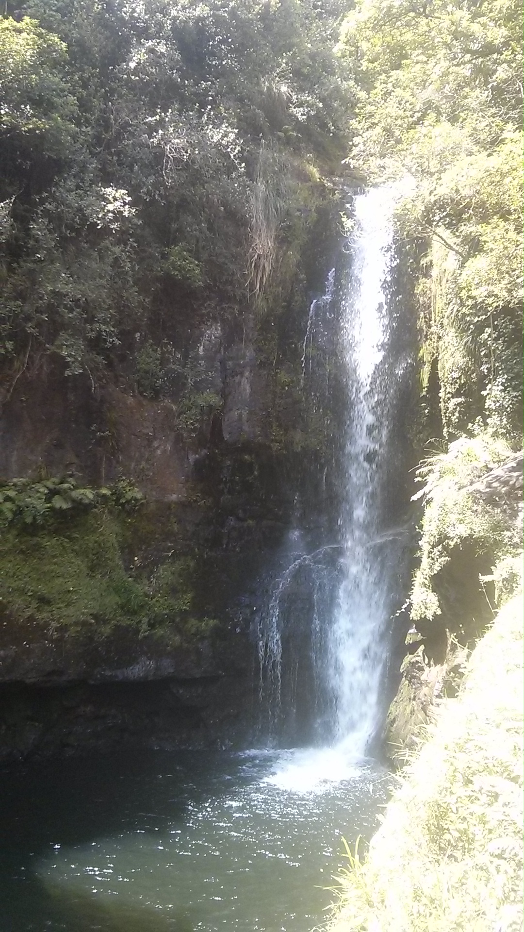 IMG_20150115_131015.jpg image