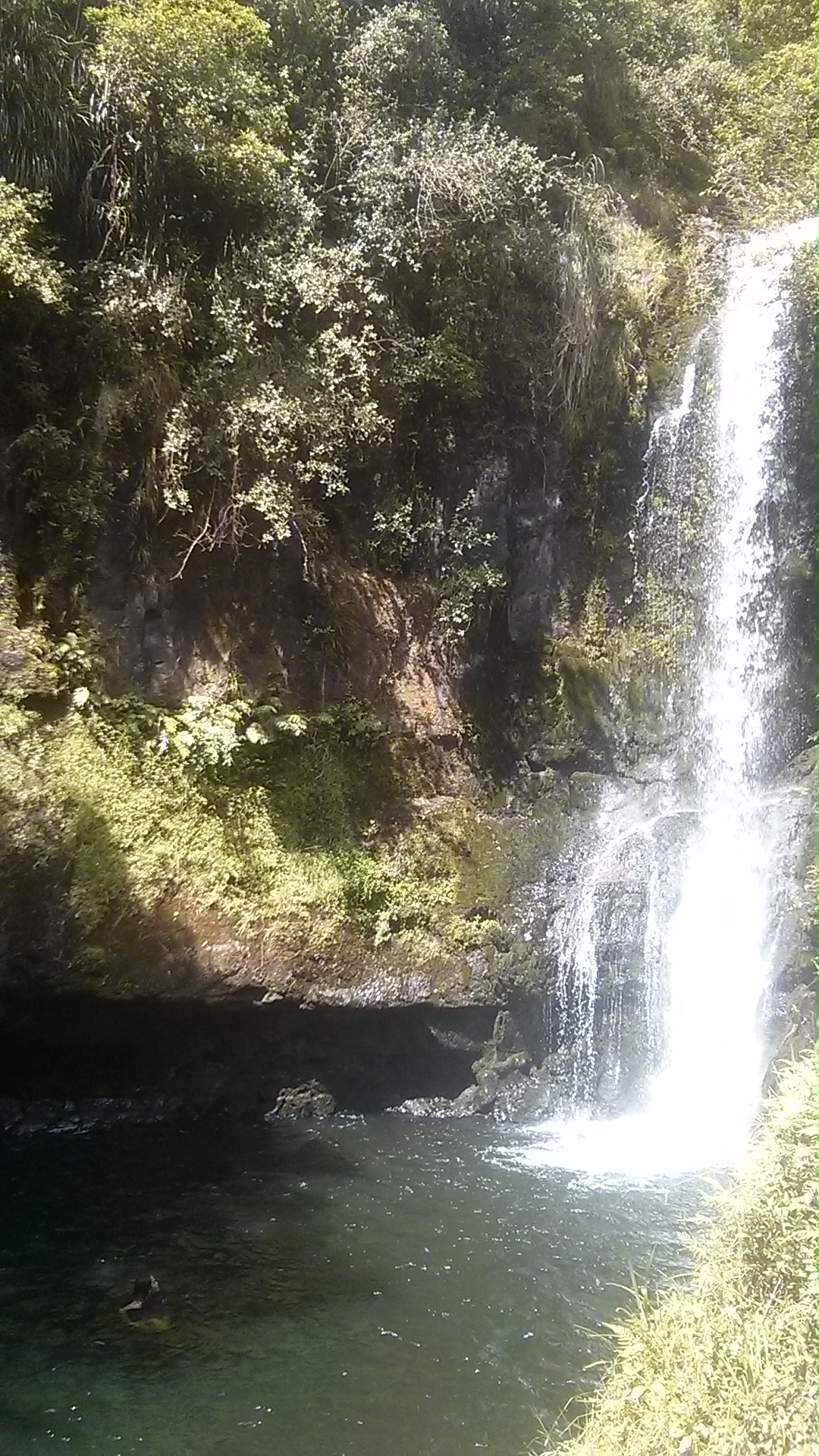 IMG_20150115_144939.jpg image