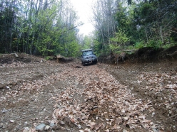 trost-website-01