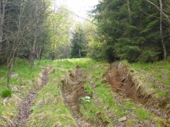 trost-website-20