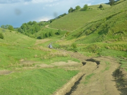 trost-website-31