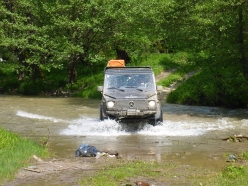 trost-website-49