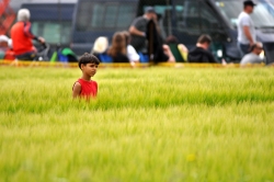 airpower-2013-03.jpg