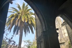 barcelona-2014-256.jpg