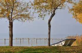 herbst-im-seewinkel-06