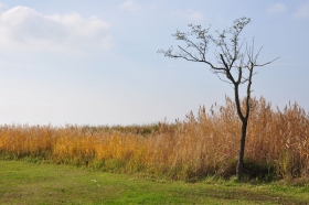 herbst-im-seewinkel-07