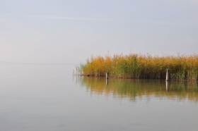herbst-im-seewinkel-08