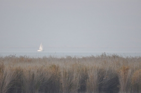 herbst-im-seewinkel-19