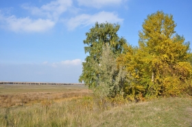 herbst-im-seewinkel-22