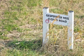 herbst-im-seewinkel-26