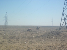 kasachstan-2012-231.jpg