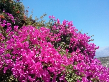 kreta-2013-15.jpg