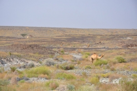 oman-2016-003