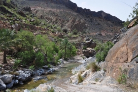 oman-2016-021