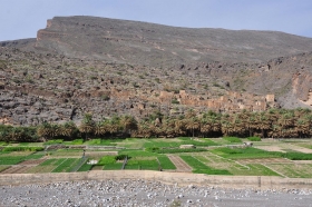oman-2016-024