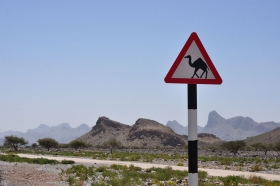 oman-2016-032