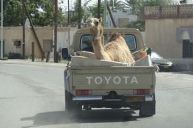 oman-2016-036