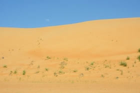 oman-2016-042