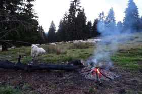 suedosteuropa-2016-003