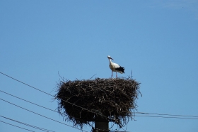 suedosteuropa-2016-028