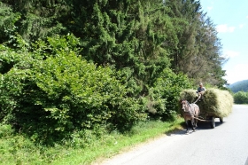 suedosteuropa-2016-042