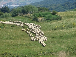 suedosteuropa-2016-045