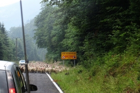 suedosteuropa-2016-051