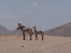 namibia-20-01-2015-07