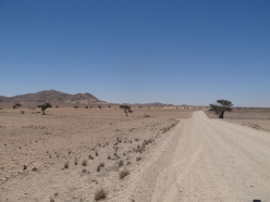 namibia-20-01-2015-10