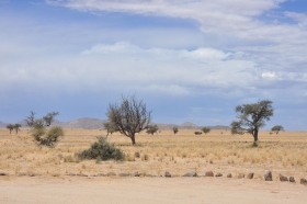 namibia-20-01-2015-11
