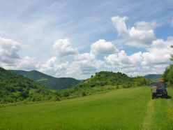 trost-fruehling-2017-058