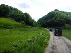 trost-fruehling-2017-064