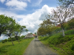 trost-fruehling-2017-065
