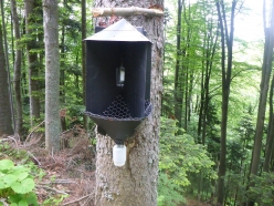trost-fruehling-2017-068