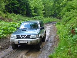trost-fruehling-2017-074