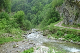 trost-2018-21