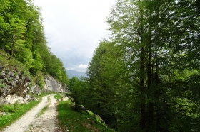 trost-2018-23